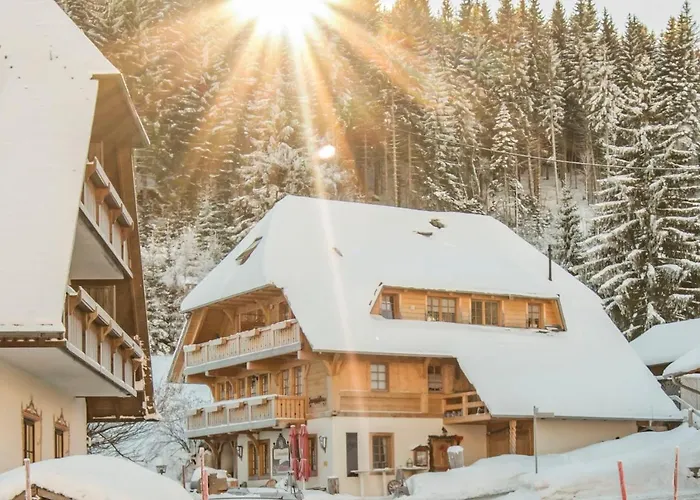 Holiday Apartements By Hotel Gruener Baum Feldberg